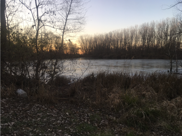 Click image for larger version  Name:	Screenshot 2022-11-23 5.57.33 PM.png Views:	1 Size:	858.0 KB ID:	44141