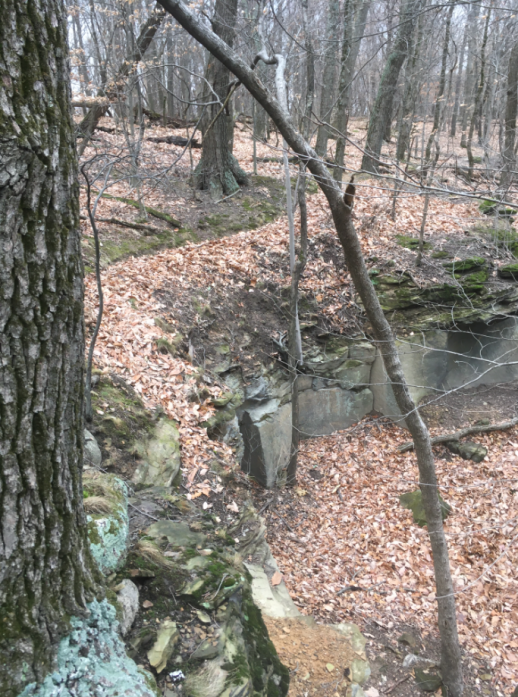 Click image for larger version  Name:	Screenshot 2022-12-11 2.42.13 PM.png Views:	1 Size:	862.0 KB ID:	44614