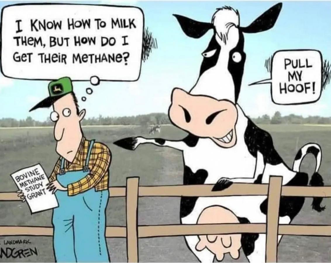 Click image for larger version

Name:	321904148_1105007256803190_1055040765811672461_n.jpg
Views:	1
Size:	110.7 KB
ID:	44945