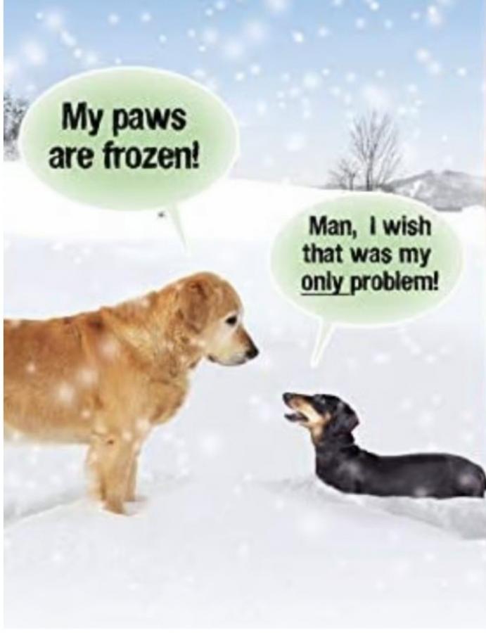 Click image for larger version

Name:	Screenshot_20230108_075255_Chrome.jpg
Views:	1
Size:	41.2 KB
ID:	45159