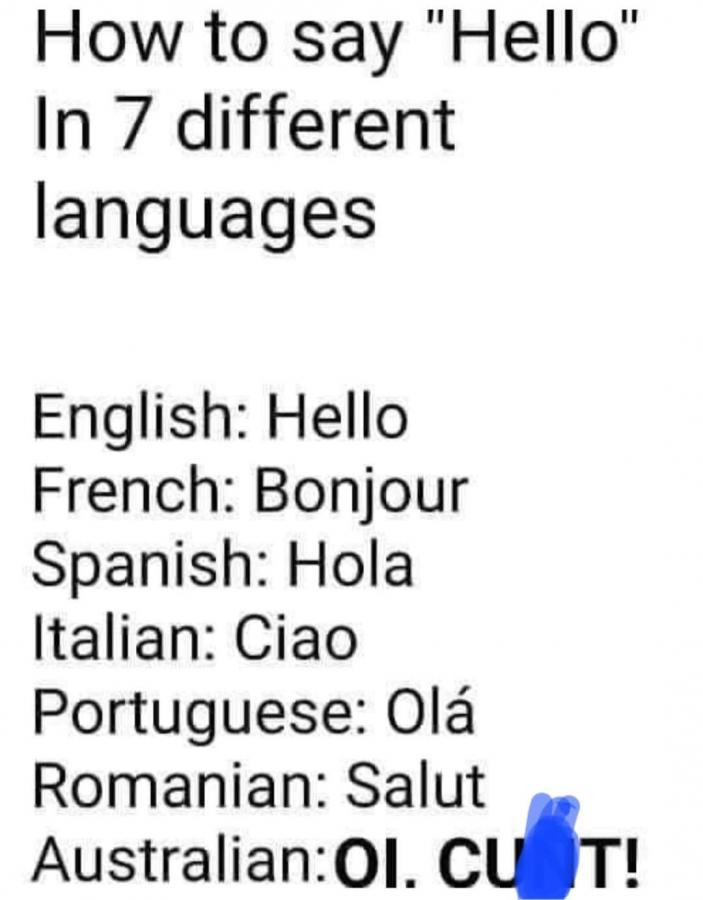 Click image for larger version

Name:	326982302_709215374029482_4540800399304369531_n.jpg
Views:	1
Size:	56.1 KB
ID:	45485