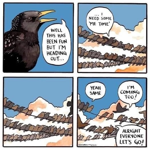 Click image for larger version

Name:	325731998_744677393422745_2186117579779419598_n.jpg
Views:	1
Size:	93.0 KB
ID:	45551