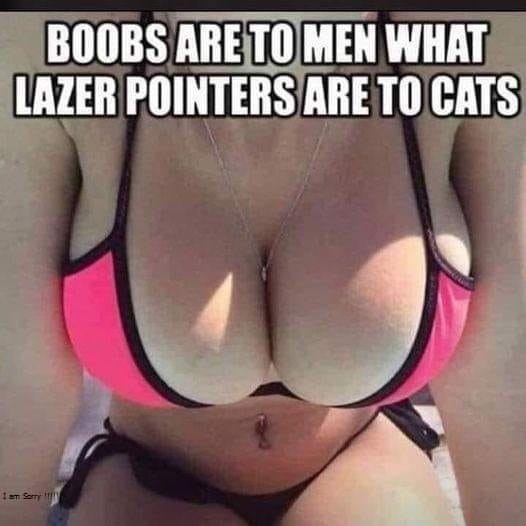 Click image for larger version

Name:	333306132_901044821010162_5435109692044177951_n.jpg
Views:	1
Size:	47.4 KB
ID:	46259