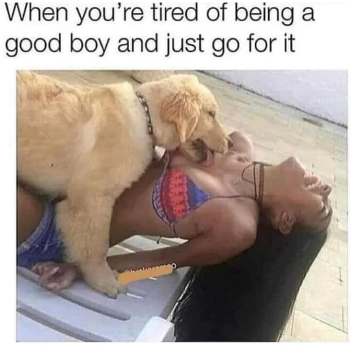 Click image for larger version

Name:	330528266_728651771973174_3172111240846160113_n.jpg
Views:	1
Size:	65.0 KB
ID:	46292