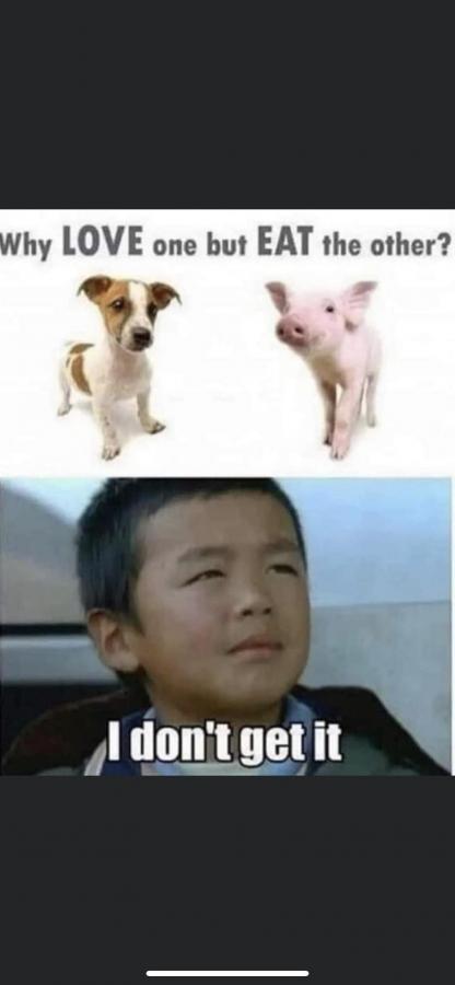 Click image for larger version

Name:	332888446_701526665044173_5475321894248260018_n.jpg
Views:	1
Size:	24.7 KB
ID:	46476