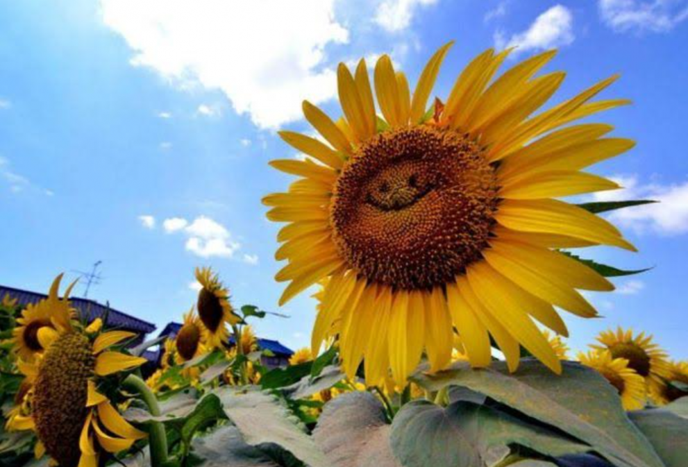 Click image for larger version

Name:	Screenshot 2023-03-08 11.30.08 AM.png
Views:	1
Size:	944.2 KB
ID:	46499