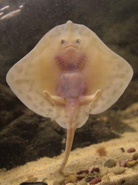 Click image for larger version

Name:	Screenshot 2023-03-08 11.37.40 AM.png
Views:	1
Size:	402.4 KB
ID:	46524