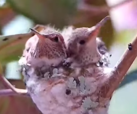 Click image for larger version

Name:	Screenshot 2023-02-22 9.50.20 PM.png
Views:	1
Size:	229.9 KB
ID:	46525