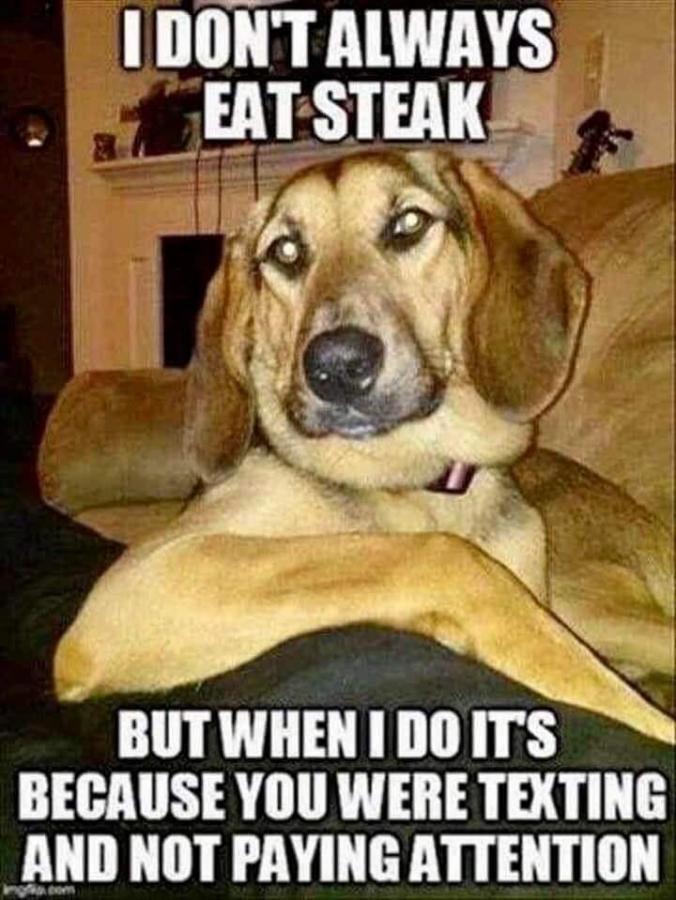 Click image for larger version

Name:	339148833_1346100832612166_4879051650149798739_n.jpg
Views:	1
Size:	85.2 KB
ID:	47161