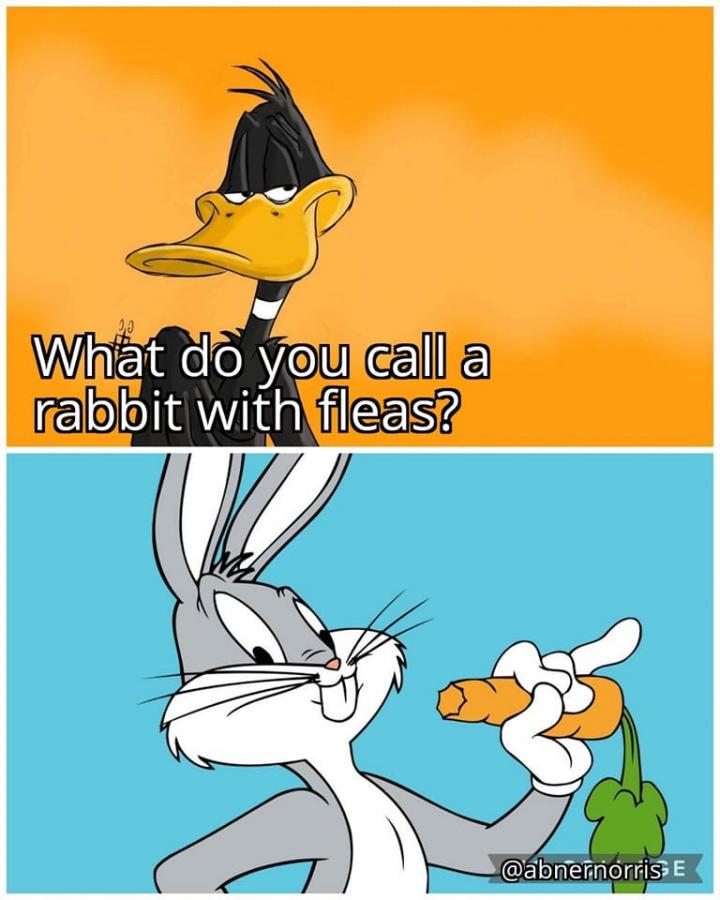 Click image for larger version

Name:	339435590_248460617644983_1236810681813721128_n.jpg
Views:	1
Size:	67.8 KB
ID:	47165