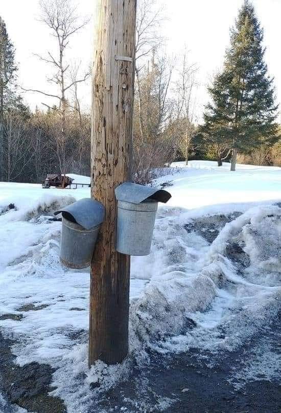 Click image for larger version

Name:	481080943_9457810117615596_7602996138187602201_n.jpg
Views:	2
Size:	127.0 KB
ID:	62730