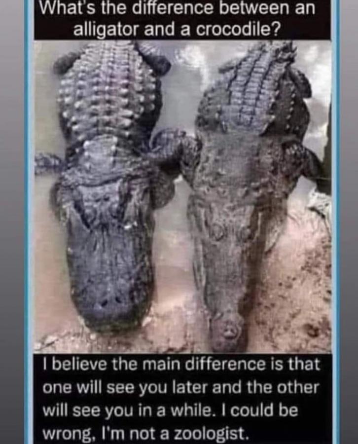 Click image for larger version

Name:	342469111_1633004453848475_8388277817770963817_n.jpg
Views:	1
Size:	77.1 KB
ID:	47504
