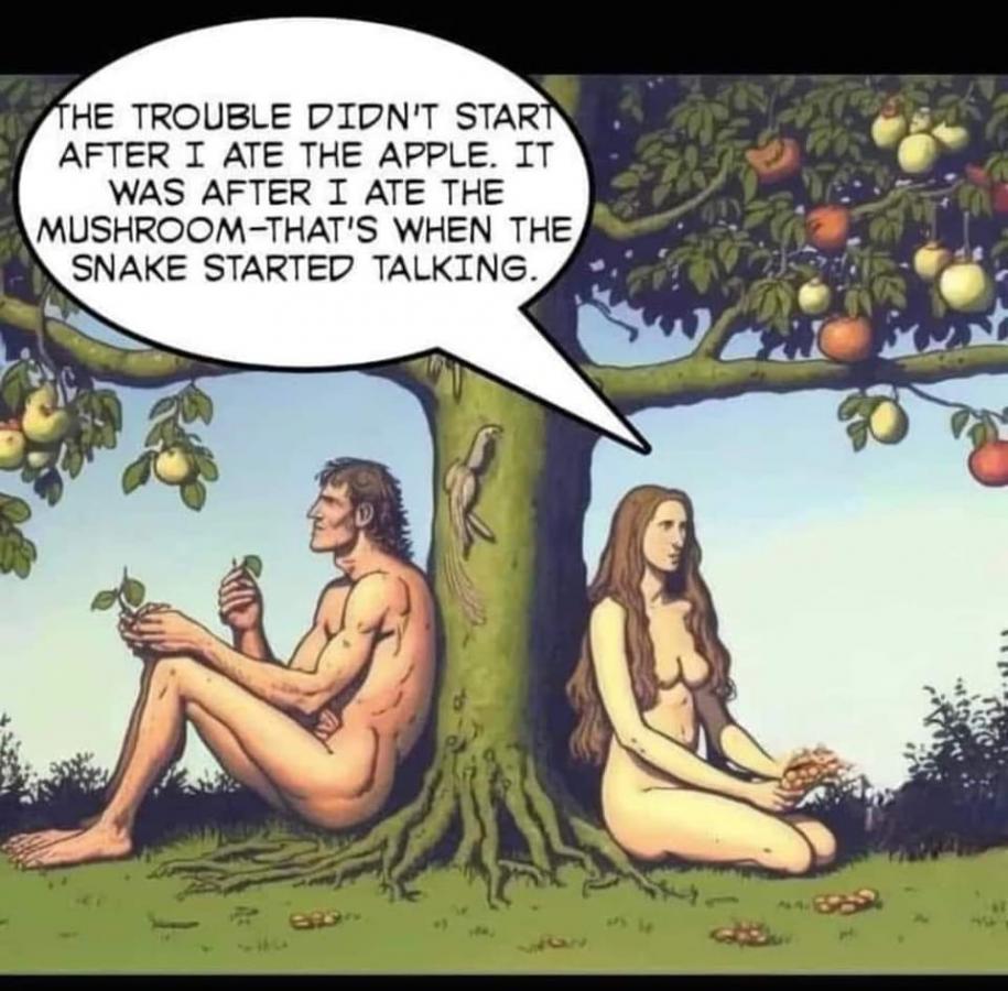 Click image for larger version

Name:	343433960_1689485534846456_6610216908854210533_n.jpg
Views:	1
Size:	97.0 KB
ID:	47698