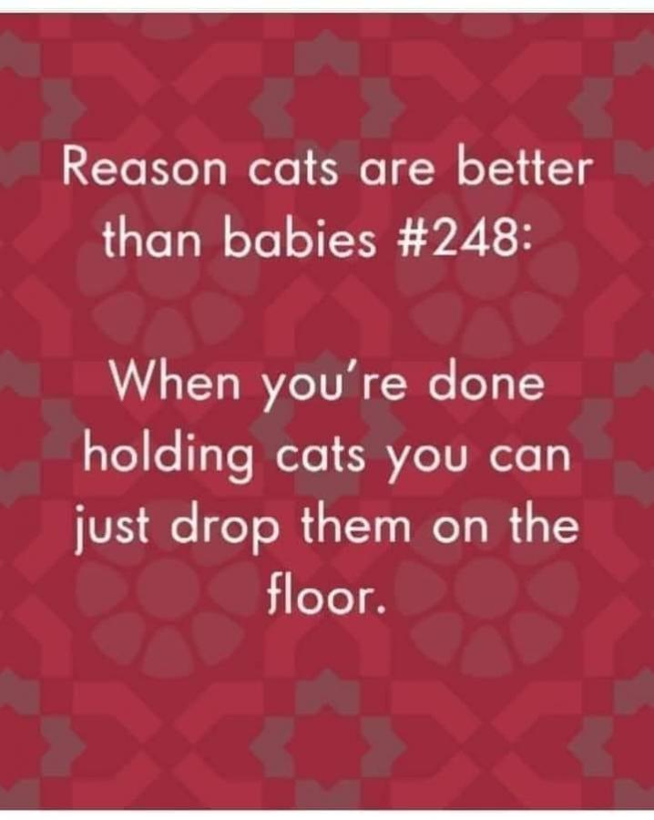 Click image for larger version

Name:	348630577_2313534568829154_7925332388880007560_n.jpg
Views:	1
Size:	47.2 KB
ID:	48166