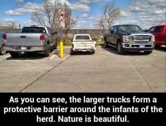 Click image for larger version

Name:	big trucks protecting smaller one.jpg
Views:	1
Size:	57.8 KB
ID:	48708