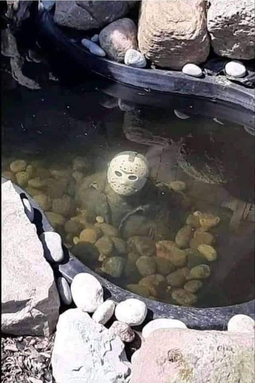 Click image for larger version

Name:	Michael Myers in a pond.jpg
Views:	1
Size:	93.0 KB
ID:	48858