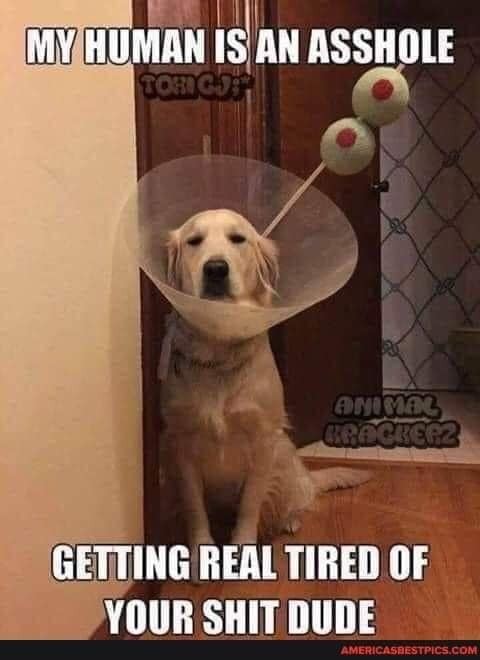 Click image for larger version

Name:	363329372_3572192709723735_2525909448515108788_n.jpg
Views:	1
Size:	44.0 KB
ID:	49820