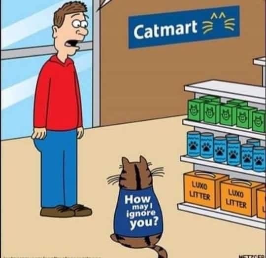 Click image for larger version

Name:	363812849_24324487593816981_3375512182524554683_n.jpg
Views:	1
Size:	40.9 KB
ID:	49841