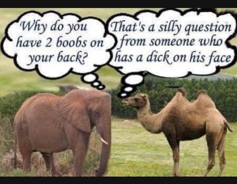 Click image for larger version

Name:	380604136_1963987947313812_2798021256101096487_n.jpg
Views:	1
Size:	84.4 KB
ID:	51119