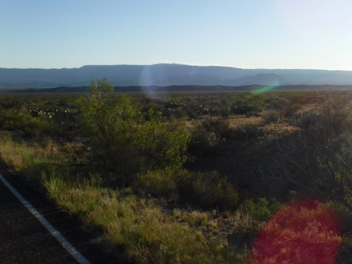 Click image for larger version

Name:	45-DSCF5949.JPG
Views:	1
Size:	87.7 KB
ID:	51936