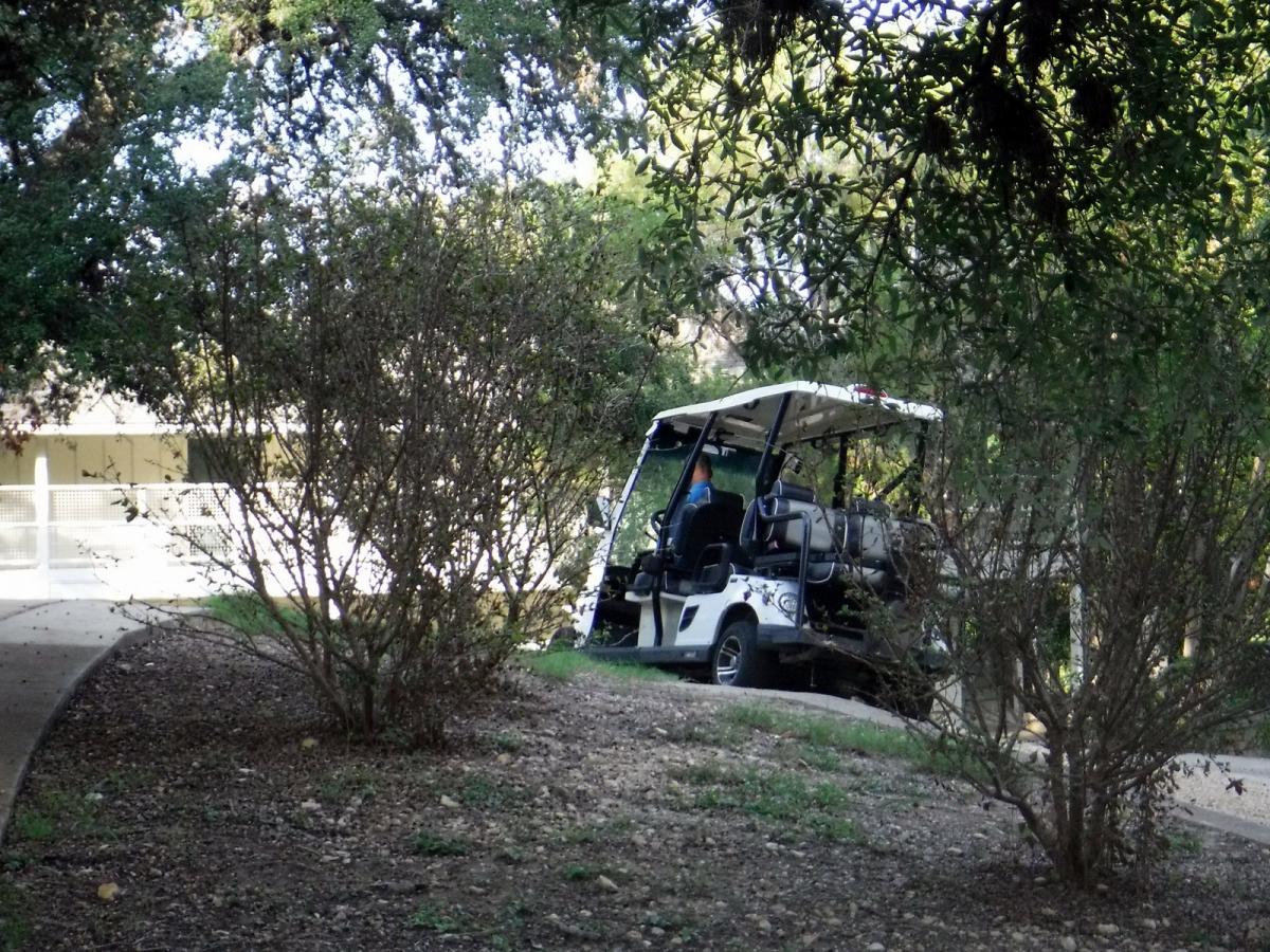 Click image for larger version

Name:	54-DSCF6028.JPG
Views:	1
Size:	261.2 KB
ID:	51946