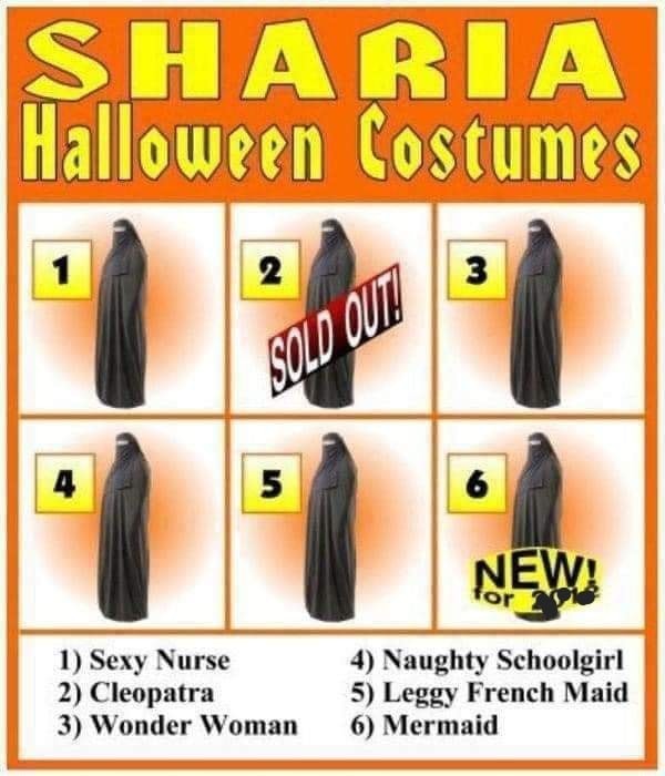 Click image for larger version

Name:	398053597_292382733714681_3221465496132096930_n.jpg
Views:	1
Size:	79.8 KB
ID:	52116