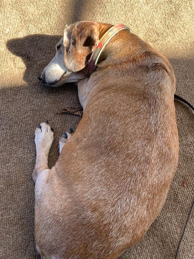 Click image for larger version  Name:	IMG_1005.jpg Views:	1 Size:	171.6 KB ID:	52159