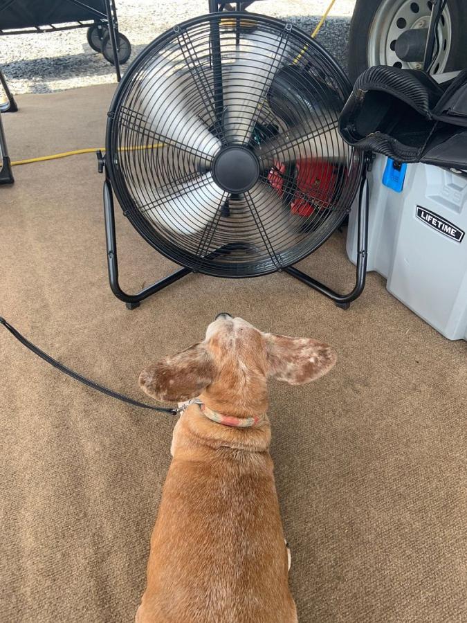 Click image for larger version  Name:	IMG_0681.jpg Views:	1 Size:	143.8 KB ID:	52160