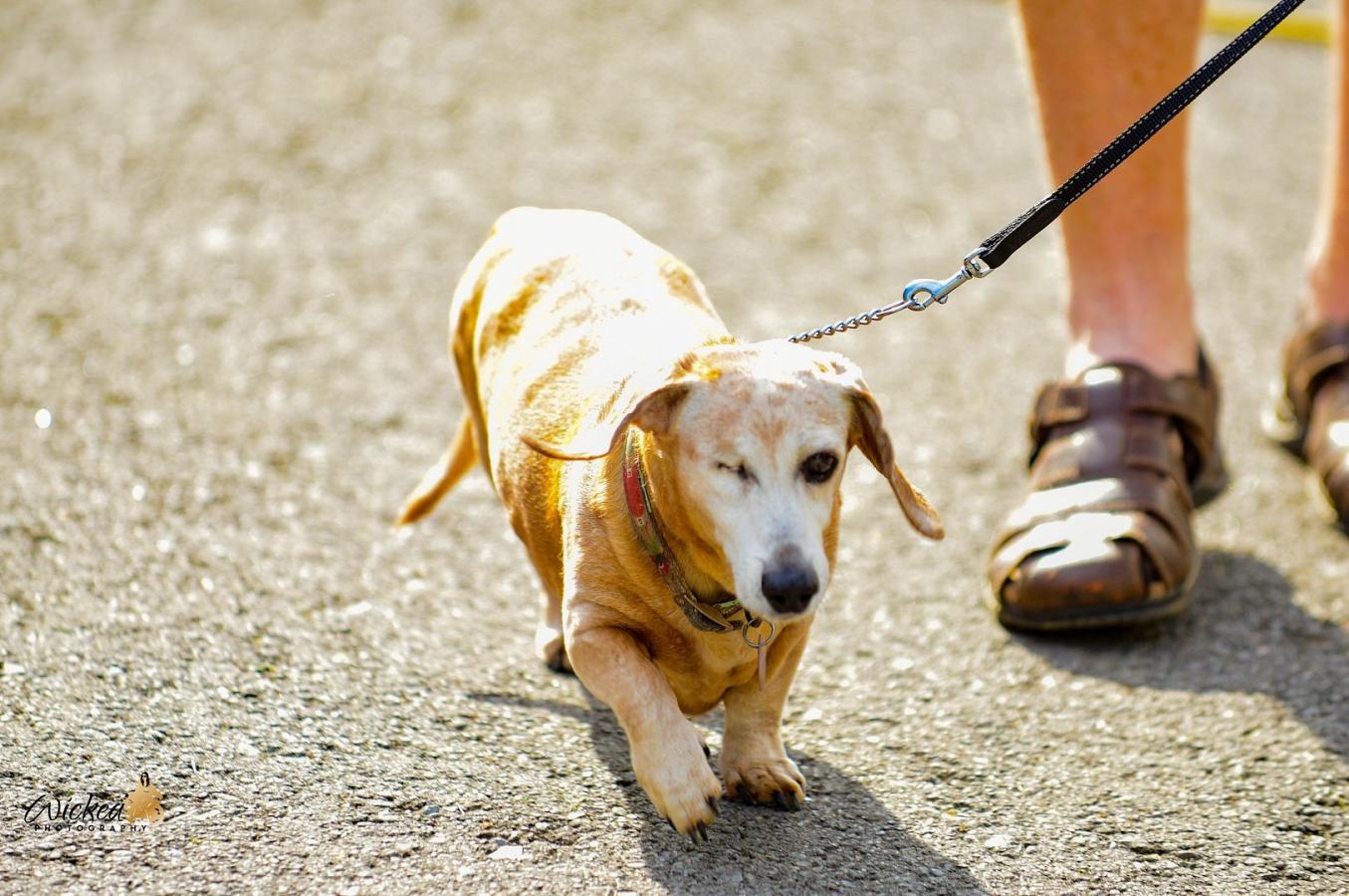 Click image for larger version

Name:	DSC_2583.jpg
Views:	1
Size:	169.4 KB
ID:	52171