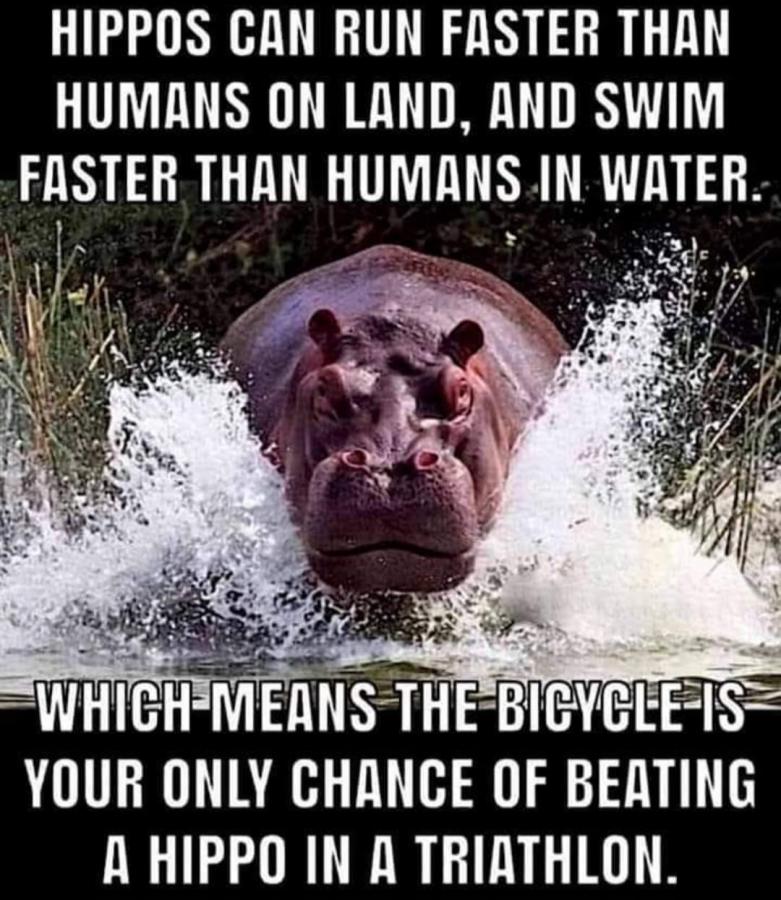 Click image for larger version

Name:	396738320_10231631279190913_6981350322557256984_n.jpg
Views:	1
Size:	120.3 KB
ID:	52227