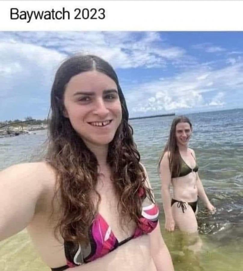 Click image for larger version

Name:	401552491_10160772489441488_2570206510803081002_n.jpg
Views:	1
Size:	71.6 KB
ID:	52493