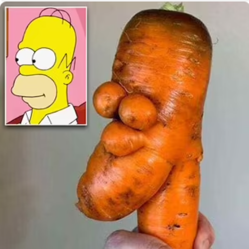 Click image for larger version

Name:	Screenshot 2023-11-17 3.55.33 PM.png
Views:	1
Size:	269.3 KB
ID:	52594