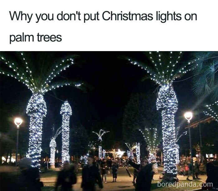 Click image for larger version

Name:	palm trees lit.jpg
Views:	1
Size:	101.4 KB
ID:	52935