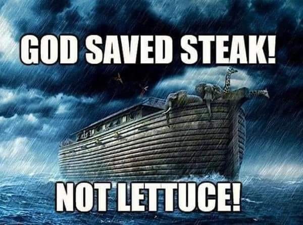 Click image for larger version

Name:	408208055_10226827573289305_2915079406173588366_n.jpg
Views:	1
Size:	69.1 KB
ID:	53002