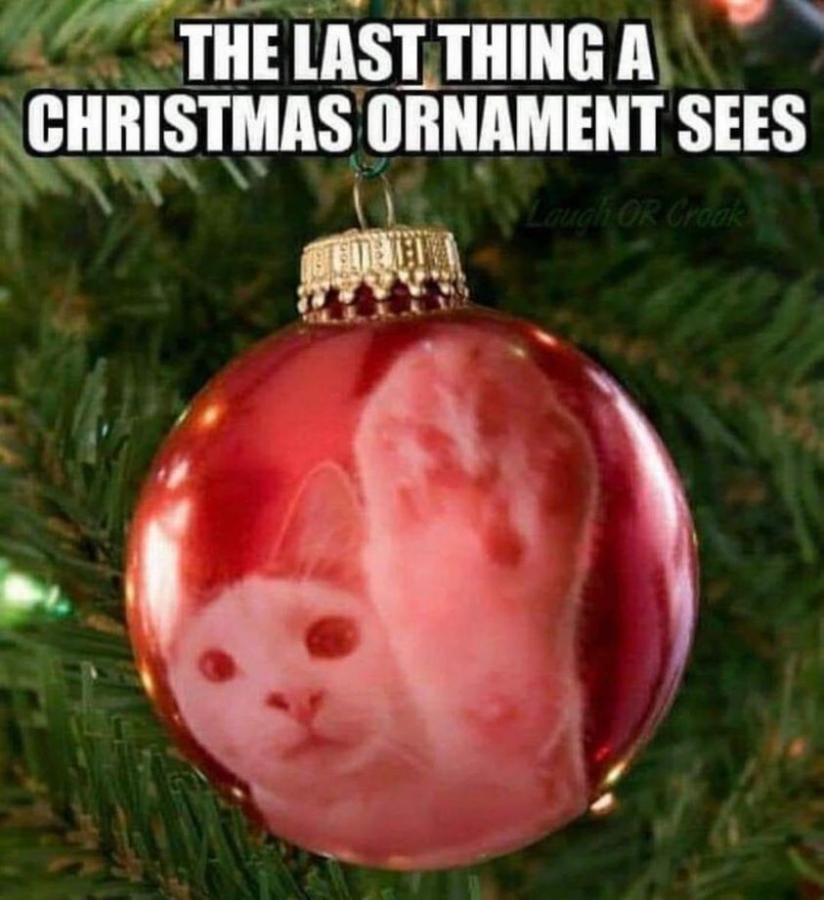Click image for larger version

Name:	cat ornament.jpg
Views:	1
Size:	76.7 KB
ID:	53035