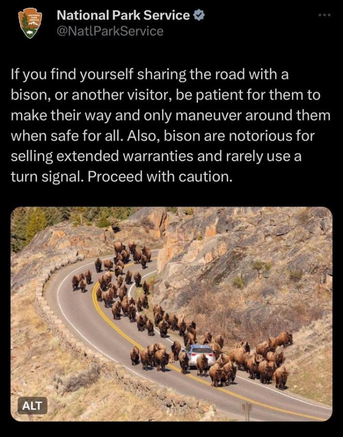 Click image for larger version

Name:	bison.jpg
Views:	1
Size:	108.2 KB
ID:	53124