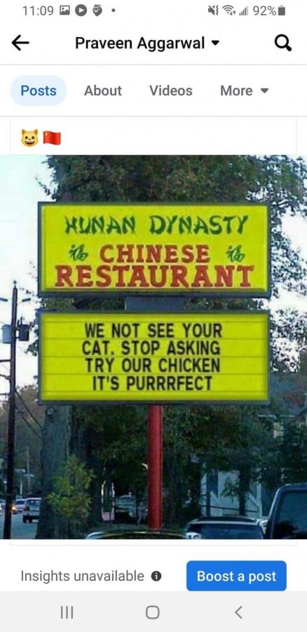 Click image for larger version

Name:	chinese cat.jpg
Views:	1
Size:	59.0 KB
ID:	53230