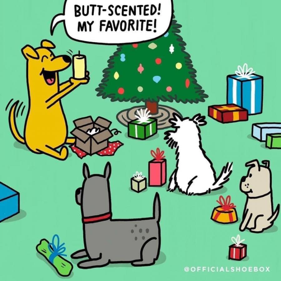 Click image for larger version

Name:	411596656_10160872828128076_3862843390926715336_n.jpg
Views:	1
Size:	89.7 KB
ID:	53302