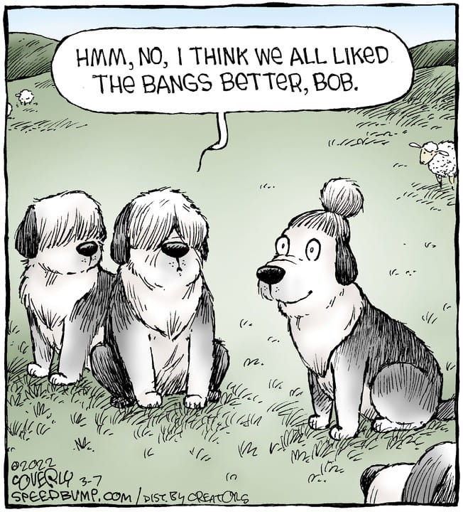 Click image for larger version

Name:	Bob.jpg
Views:	1
Size:	143.4 KB
ID:	53484