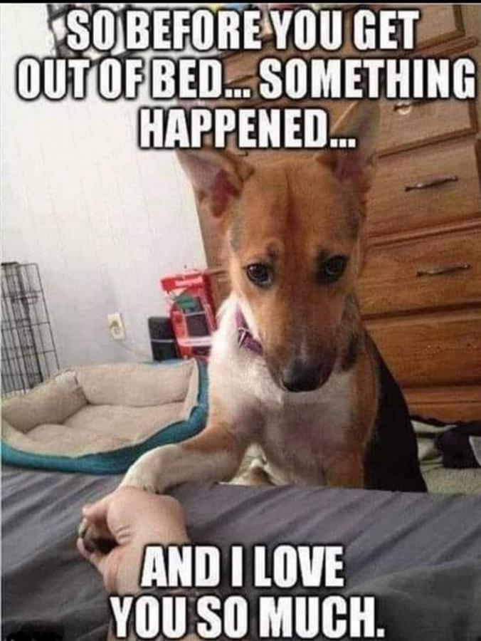 Click image for larger version

Name:	417444987_10225066611681786_8753525650351393275_n.jpg
Views:	1
Size:	79.0 KB
ID:	53665