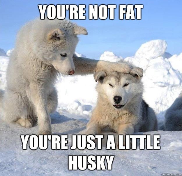 Click image for larger version

Name:	husky.jpg
Views:	1
Size:	89.1 KB
ID:	54959
