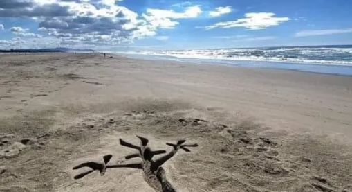 Click image for larger version

Name:	Screenshot 2024-01-22 8.37.03 PM.png
Views:	1
Size:	229.3 KB
ID:	55118