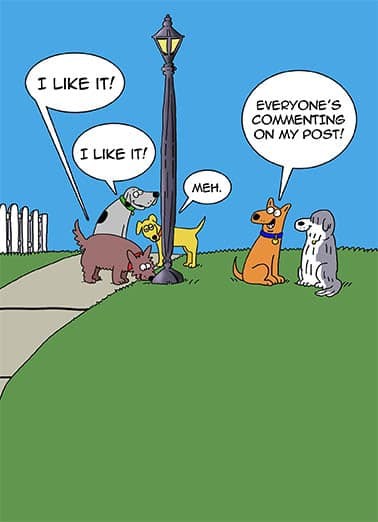 Click image for larger version

Name:	434784011_931843992279237_6685976144976933509_n.jpg
Views:	1
Size:	32.9 KB
ID:	55775