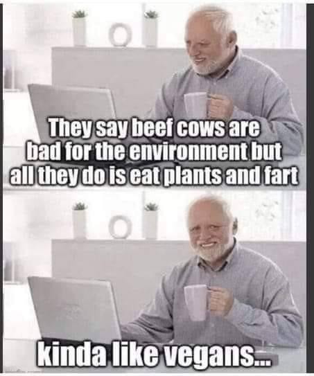 Click image for larger version

Name:	435799184_7618425018225184_8108655757087956172_n.jpg
Views:	1
Size:	41.2 KB
ID:	55896