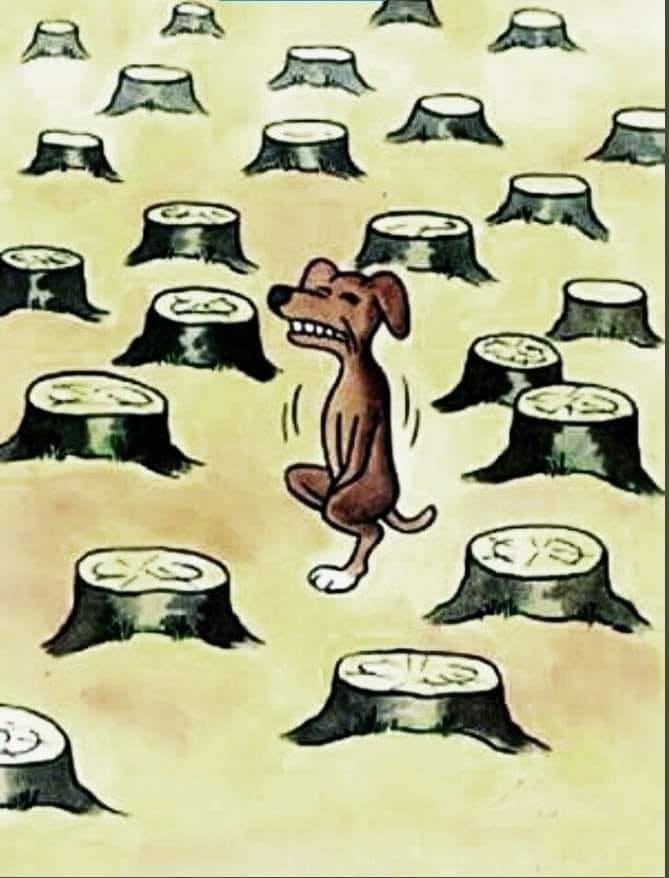 Click image for larger version

Name:	437728084_3823527567972118_7653077357250271212_n.jpg
Views:	1
Size:	81.6 KB
ID:	56403