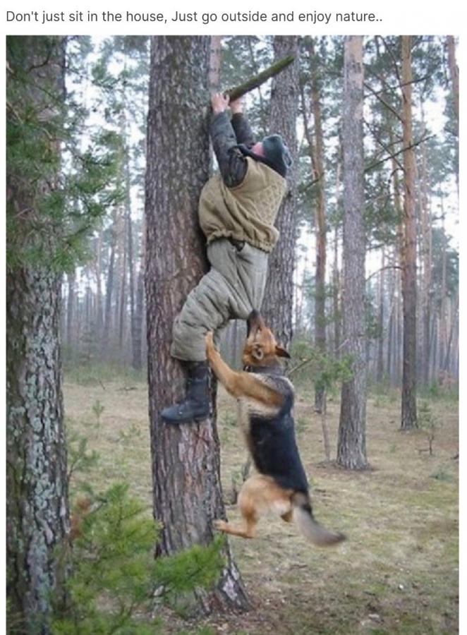 Click image for larger version

Name:	Screenshot_20240429_160907_Chrome.jpg
Views:	1
Size:	99.0 KB
ID:	56413