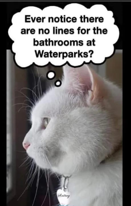 Click image for larger version

Name:	435924800_825760166078720_9108218332943246954_n.jpg
Views:	1
Size:	47.1 KB
ID:	56959