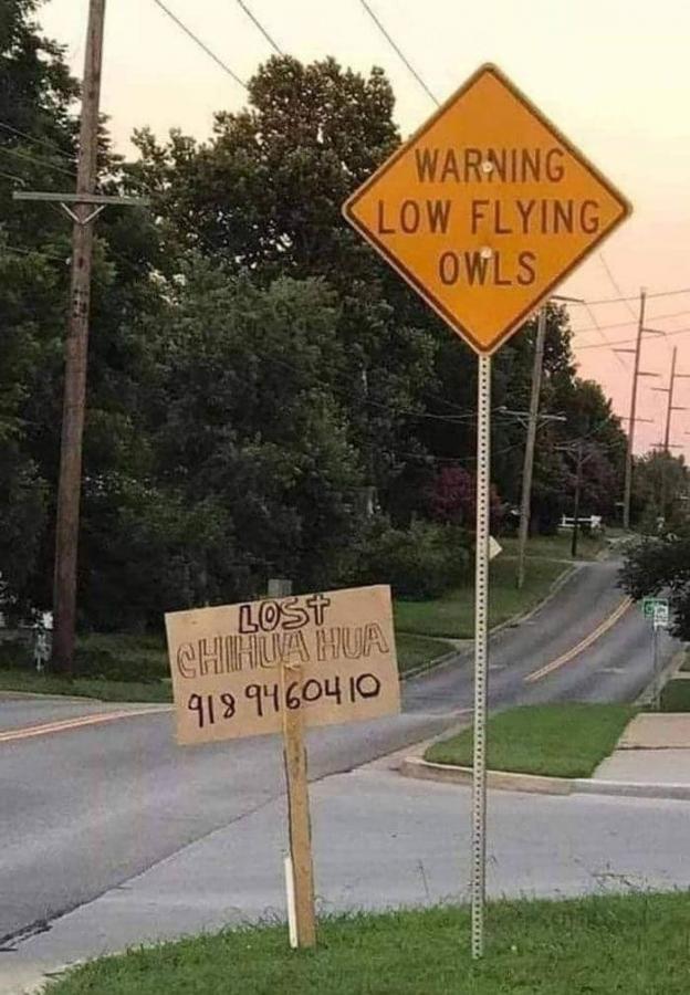 Click image for larger version

Name:	441501131_3292819137517010_4463494506769991451_n.jpg
Views:	1
Size:	80.0 KB
ID:	57082