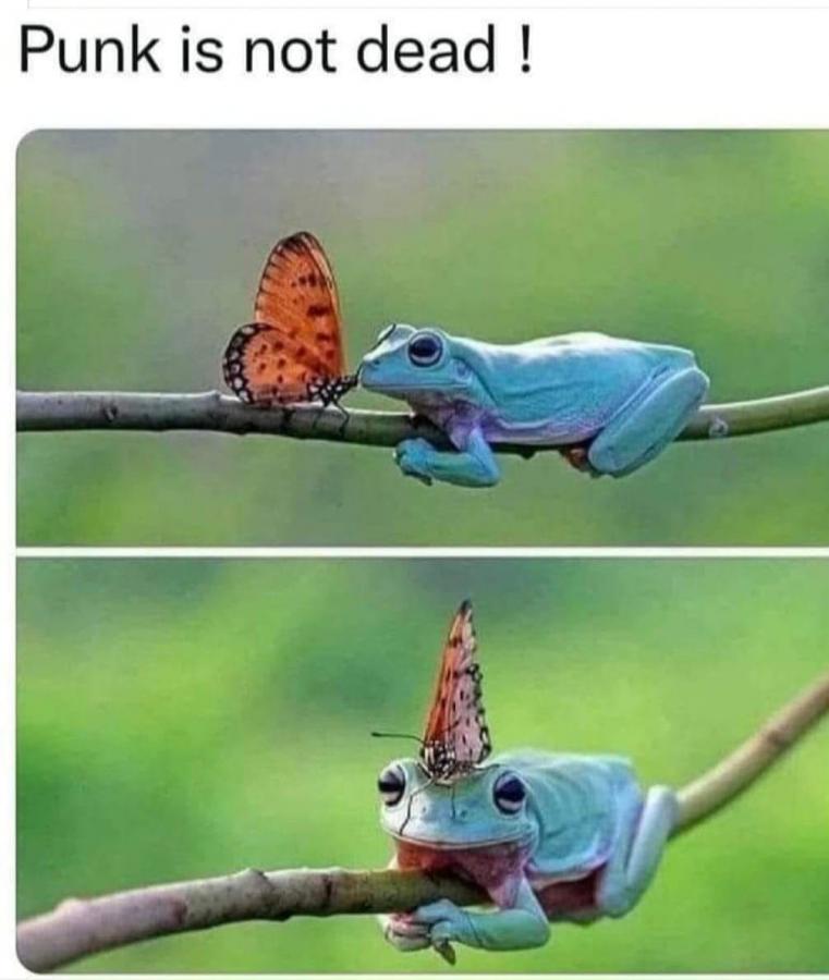 Click image for larger version

Name:	443823313_122150211500135312_3629915094191178069_n.jpg
Views:	1
Size:	55.8 KB
ID:	57108