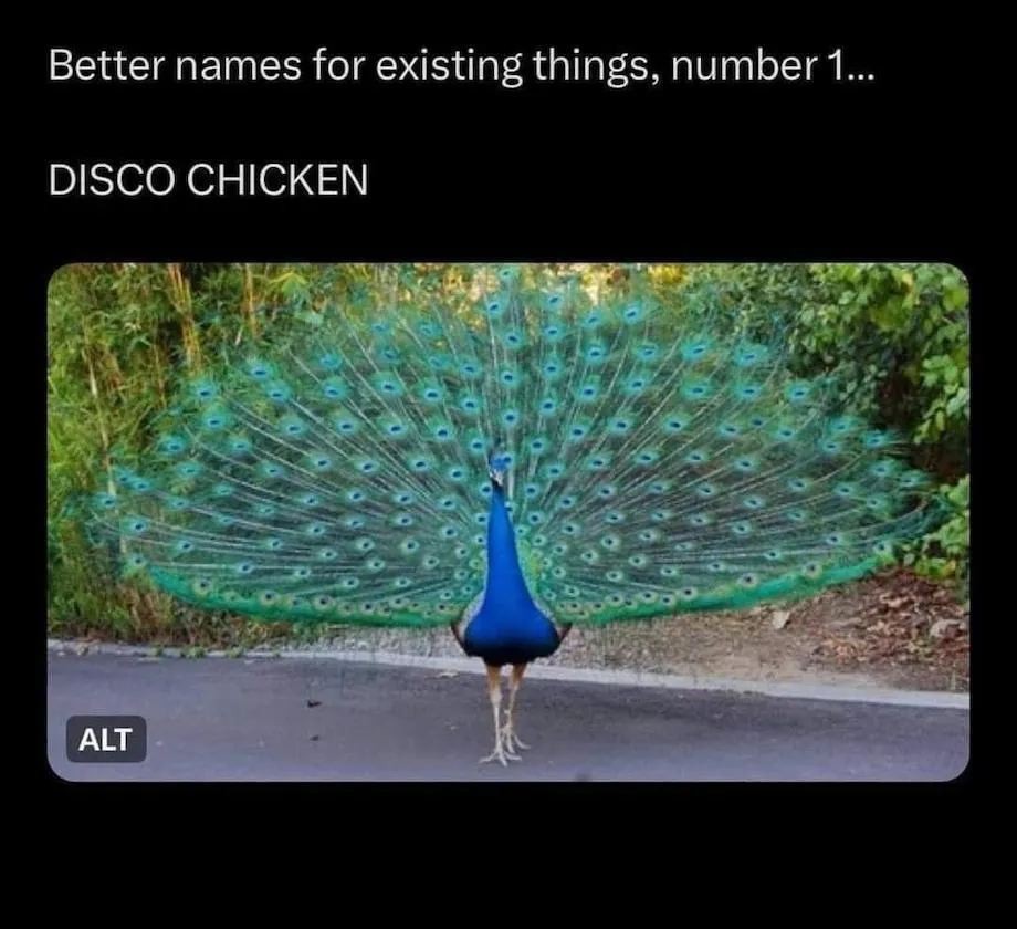 Click image for larger version

Name:	444167380_10161738033003069_4643913824994841587_n.jpg
Views:	1
Size:	124.1 KB
ID:	57132